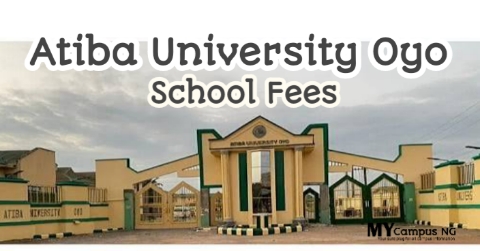 Atiba University School Fees